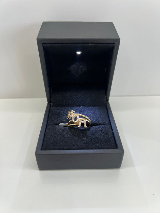 Anillo